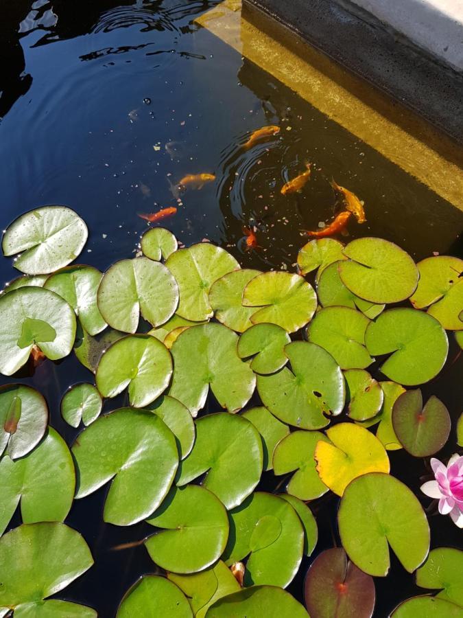 Vila Florena Garden Паланга Екстер'єр фото