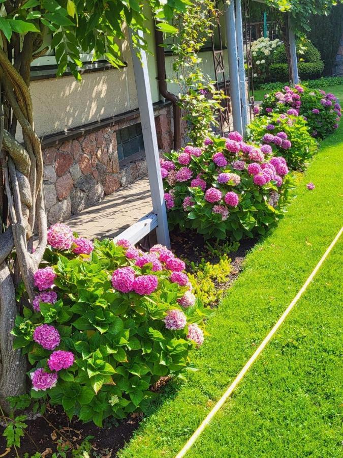 Vila Florena Garden Паланга Екстер'єр фото