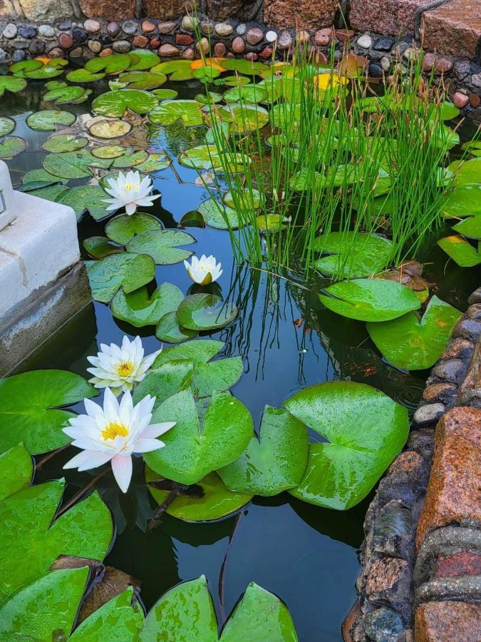 Vila Florena Garden Паланга Екстер'єр фото