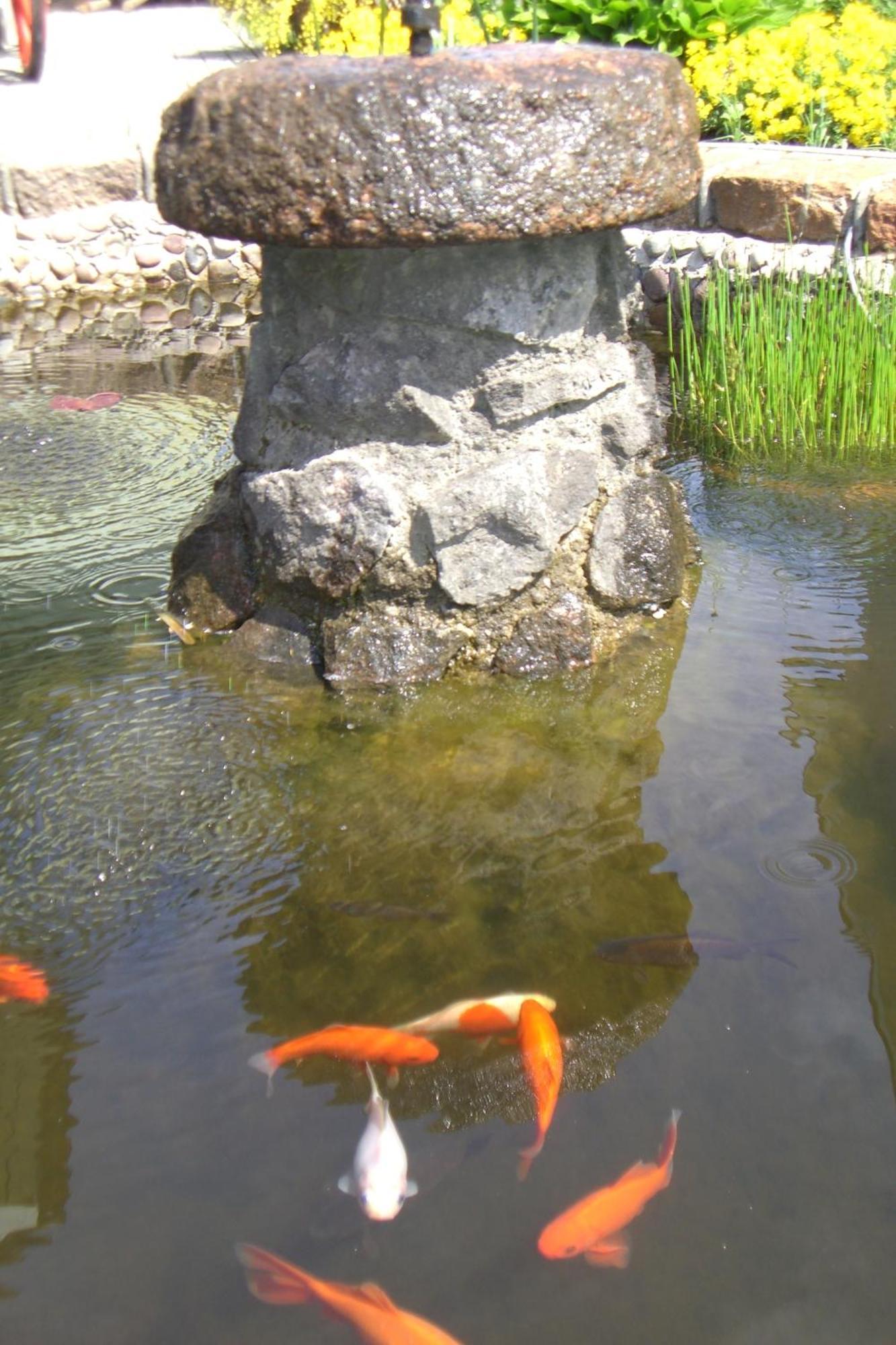 Vila Florena Garden Паланга Екстер'єр фото