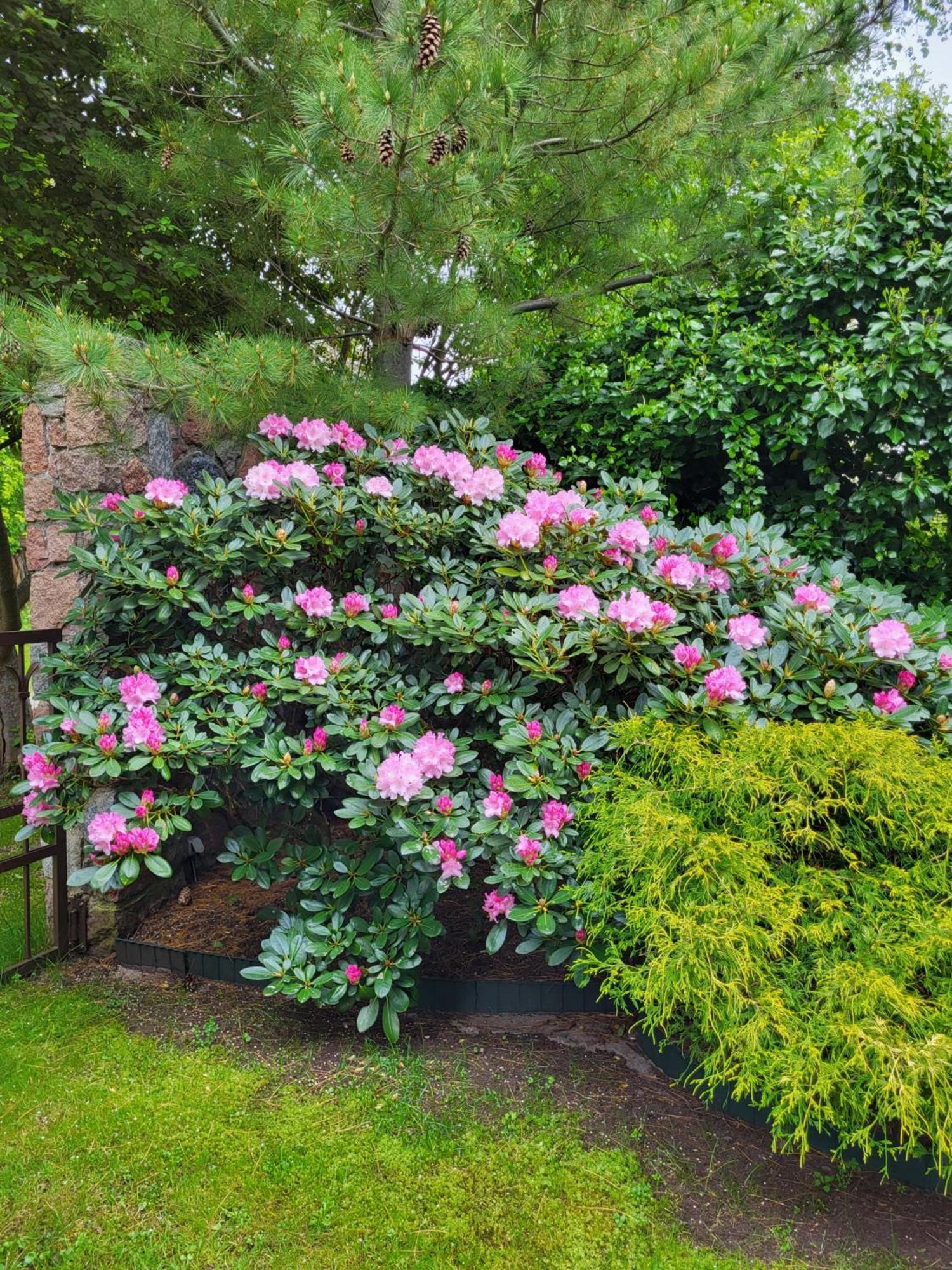 Vila Florena Garden Паланга Екстер'єр фото